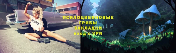 стаф Алзамай