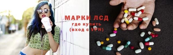 стаф Алзамай