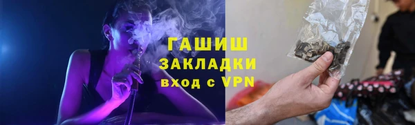 стаф Алзамай