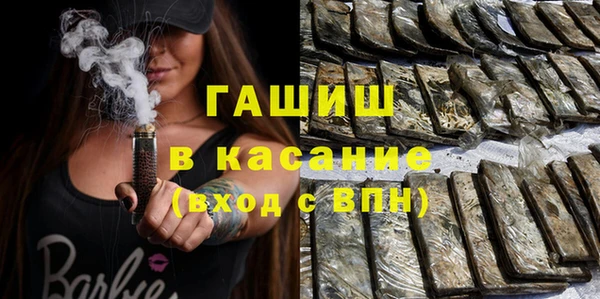 стаф Алзамай