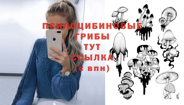 а пвп мука Алексеевка
