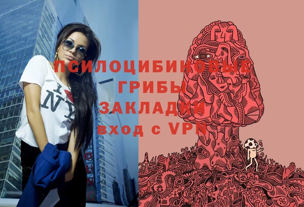 стаф Алзамай