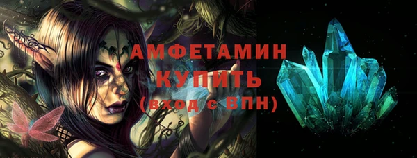 стаф Алзамай