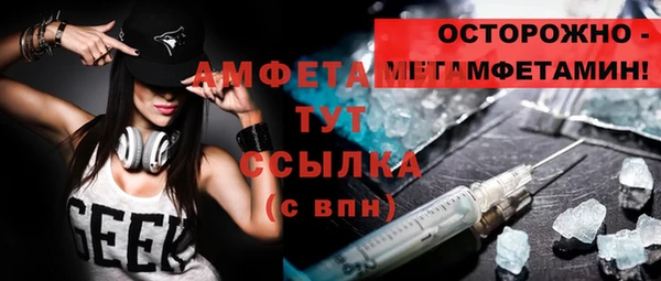 стаф Алзамай